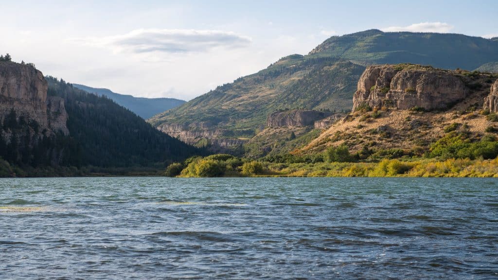 Forest Service to start Sweetwater review soon, public encouraged to weigh in - Vimarsana News